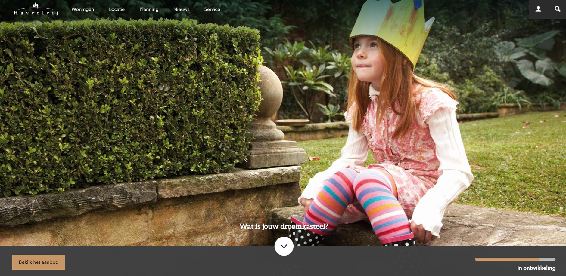 Voorbeeld-projectwebsite.jpg
