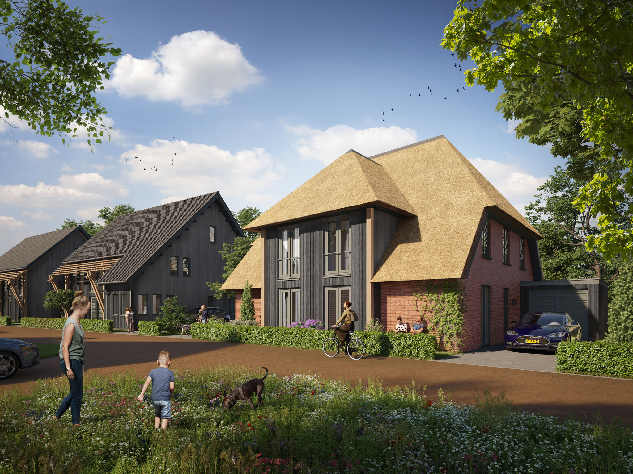 2 onder 1 kap type A - hoefenhaag-erven-fase1-007.jpg